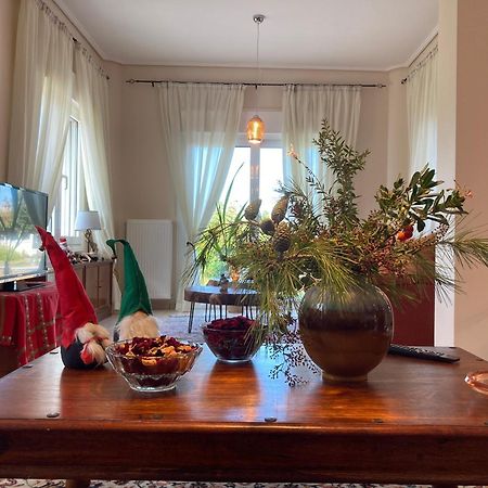 Brina'S Luxury Apartments Άγιοι Απόστολοι Εξωτερικό φωτογραφία